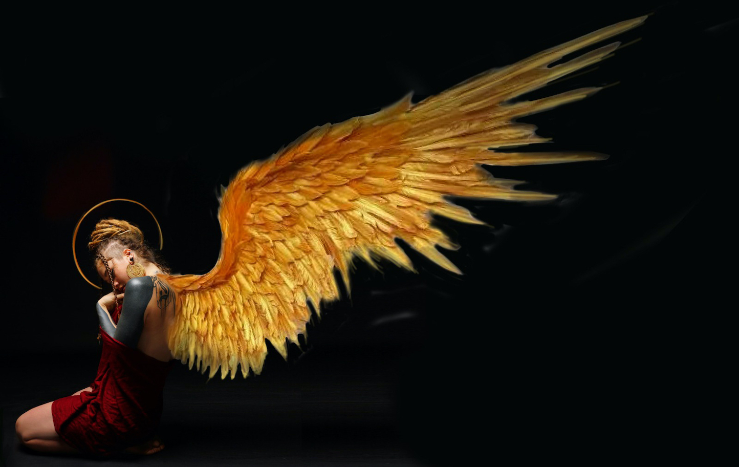 Indigo-Fox- Karleigh